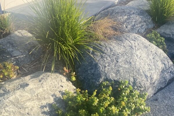 rocks_and_stones_bluestone_750mm